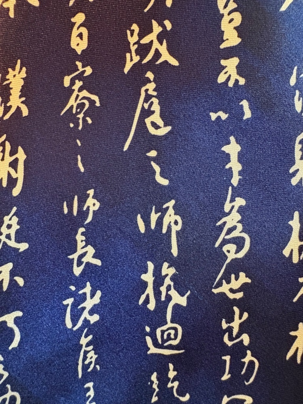 Kai Long Vintage 100% Silk Chinese Calligraphy Script Tie Navy Gold